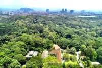 States urged to adopt amended forestry Act to support conservation