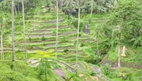 The Bali detour that led to an unexpected surprise