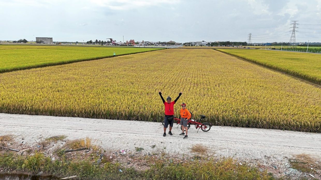 Surrounded by waves of rice and wind, two riders find joy in the wide, open calm of Sekinchan’s rural heart.