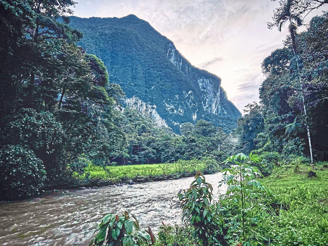 The journey starts gently enough: from the park headquarters, a longboat snakes up the Melinau River, its outboard engine thrumming over tea-coloured waters stained by jungle tannins.