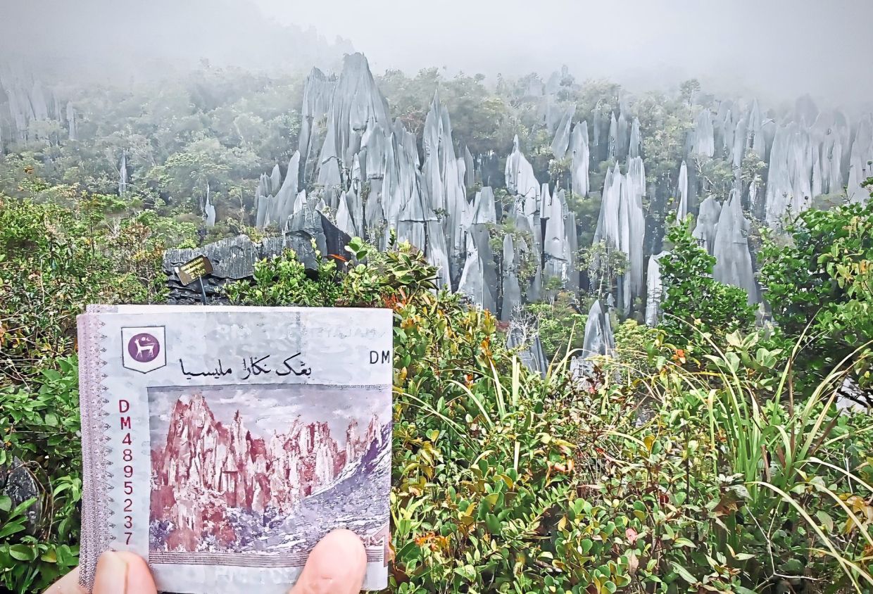 The Pinnacles as seen on the back of an RM100 note.