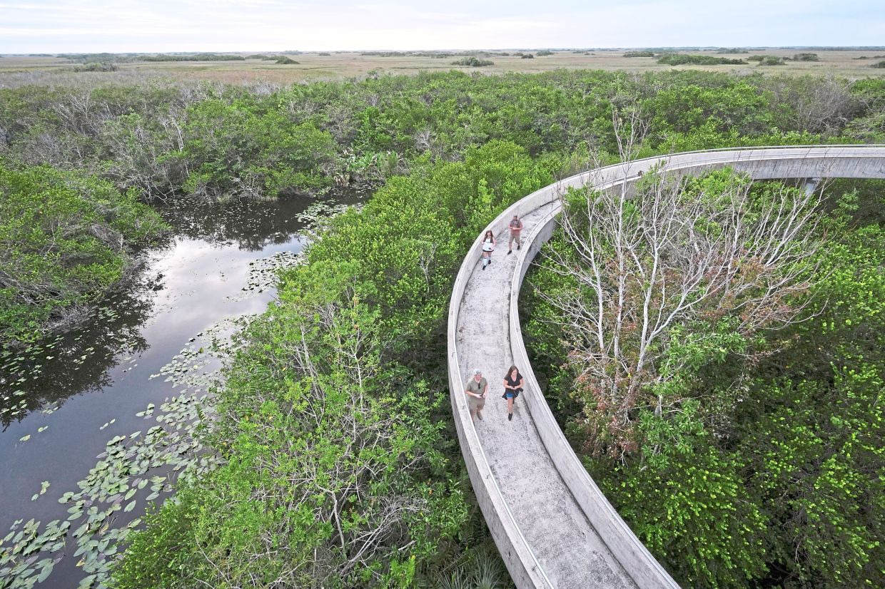 Visitors walk down a ramp after climbing Shark Valley observation point in Everglades National Park, Florida. Marvel urges people to think differently about their place in preserving the environment. Photo: REBECCA BLACKWELL/AP