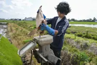 Japan says it won't sacrifice farm sector after Trump complains about rice