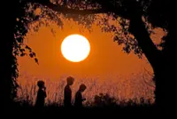 How small actions and sustainable behaviours can help manage climate anxiety