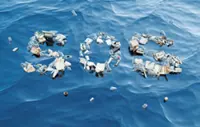 Plastic pollution: A crisis we’re already eating