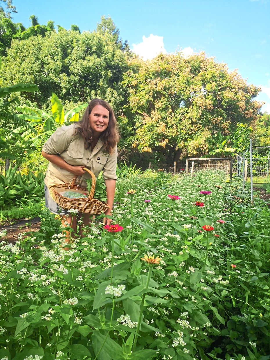 Just two years ago, Forgotten Sound Farm was just a dream scribbled into sketch.
