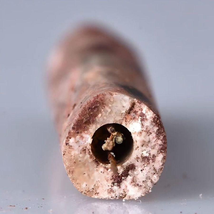 Steel acupuncture needles inside a jade tube discovered in the famed tomb of the Marquis of Haihun in Nanchang, Jiangxi province. - China Daily/ANN