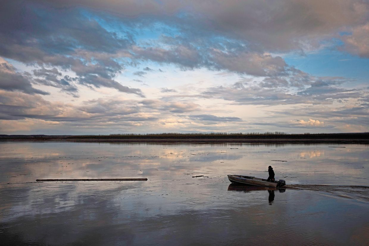Jake Pogrebinsky collects a log floating down the Yukon River to be used for firewood or construction.