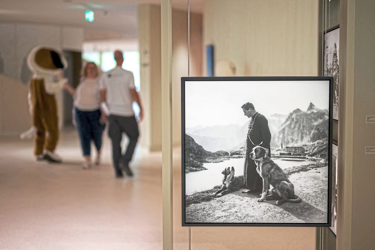 An old picture of two St Bernards and a priest taken at the Great Saint Bernard pass. 
