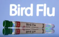 South Africa reports H5N1 bird flu on poultry farms, international agency says