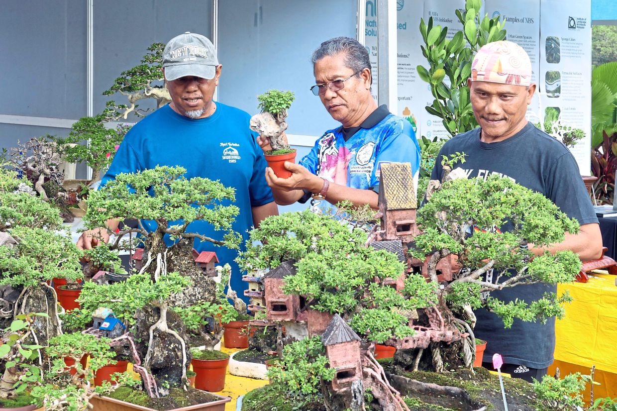 Visitors looking at bonsai trees on display at HLN 2025 in Taman Bandar Bukit Layang Layang.