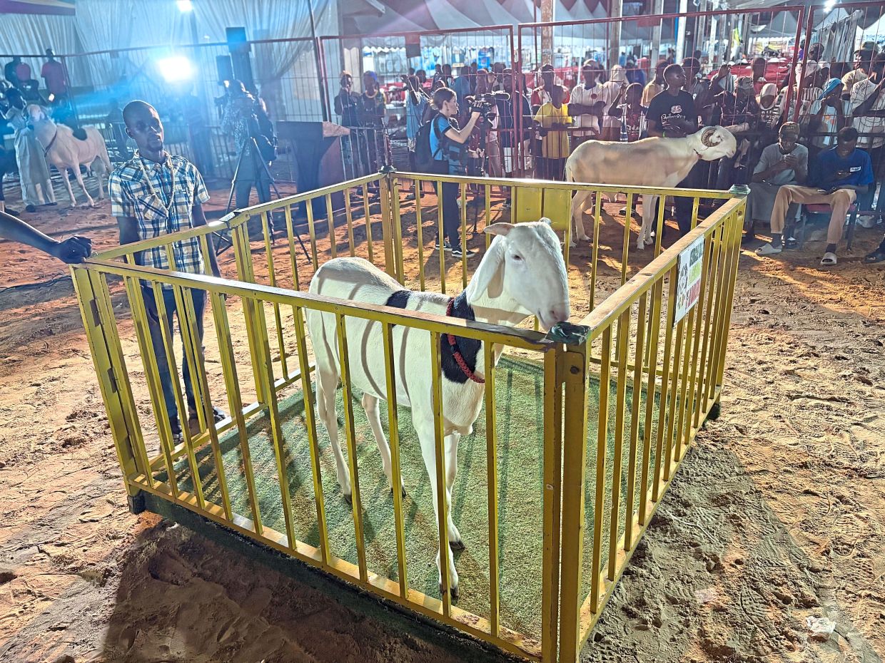 The annual Ladoum beauty pageant attracts many spectators. 