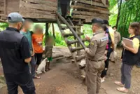 Neglected boy, eight, raised by dogs in Thailand ‘didn’t speak, just barked’