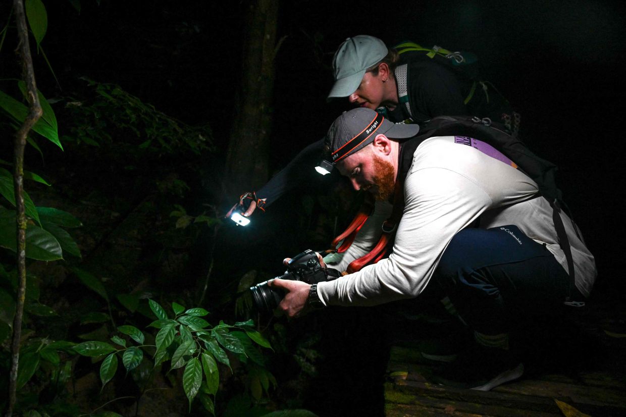 British tourists Thom Harris and Lauren Heywood taking part in frogging activity at Kubah National Park in Kuching.