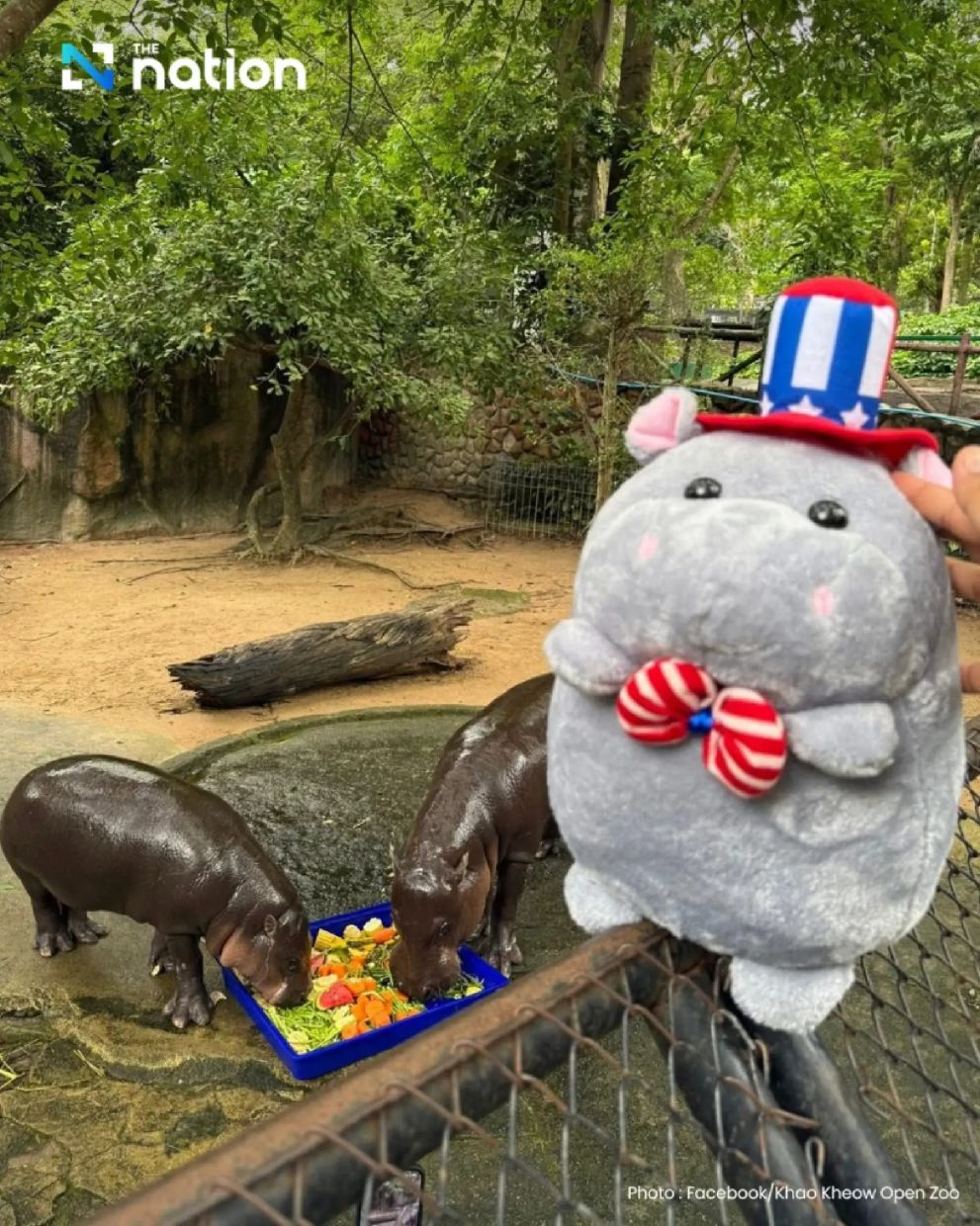 The US Embassy in Bangkok, on July 4, sent a special birthday gift: a hippopotamus plush toy named Sammy, symbolising well wishes from the United States as it marks its own Independence Day. - The Nation/ANN