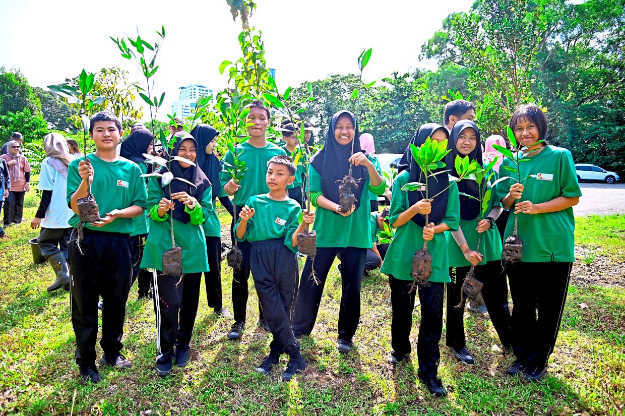 Saving mangroves with the power of youth