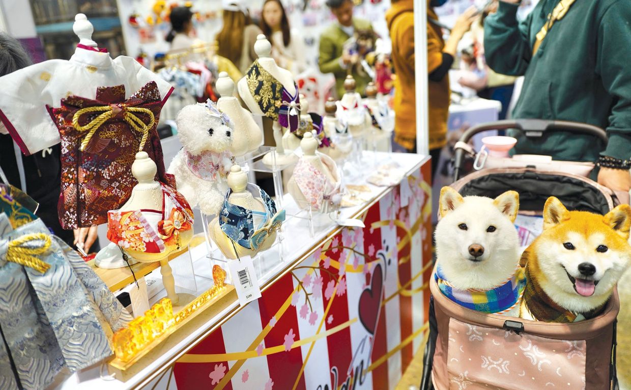 Pet owners bring their furry friends to the Hong Kong Pet Show at the Hong Kong Convention and Exhibition Centre on Feb 6, 2025, which showcases a variety of pet products, including exquisite personalised clothing and accessories. - Photo: China daily/ANN