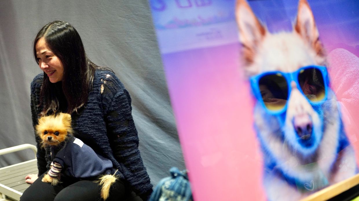 A pet lover takes a photo with her pet in the store decoration during the Hong Kong Pet Show at the Hong Kong Convention and Exhibition Centre in Wan Chai on Feb 6, 2025. - Photo: China Daily/ANN