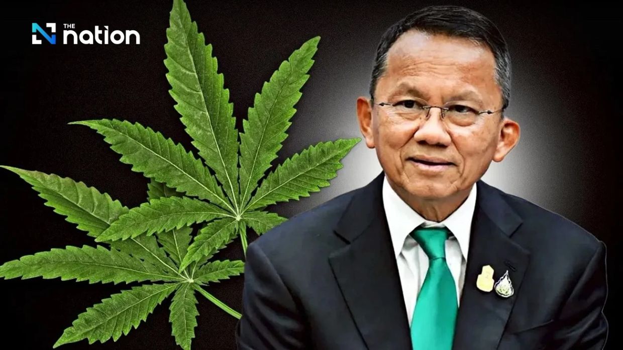 Thailändischer Gesundheitsminister sagt, Neuklassifizierung von Cannabis ...