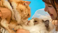 Fur love’s sake in Hong Kong