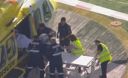 Frau nach Löwenangriff in australischem Zoo ins Krankenhaus geflogen