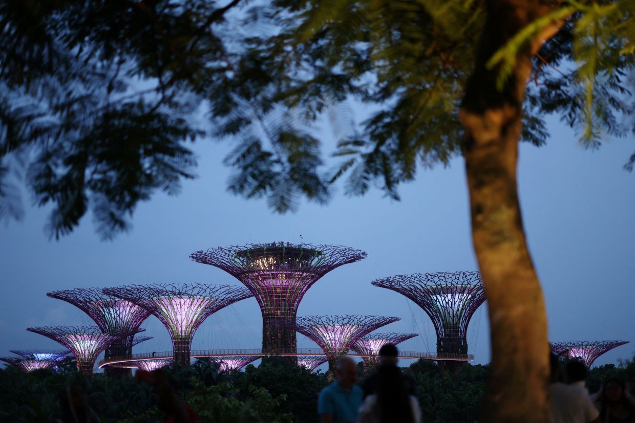 People take photos of the Supertree Grove at Gardens by the Bay in Singapore. -- REUTERS/Edgar Su