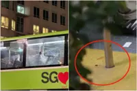 Woman on Singapore's SMRT bus 190 injured after bottle thrown at vehicle leaves hole in window