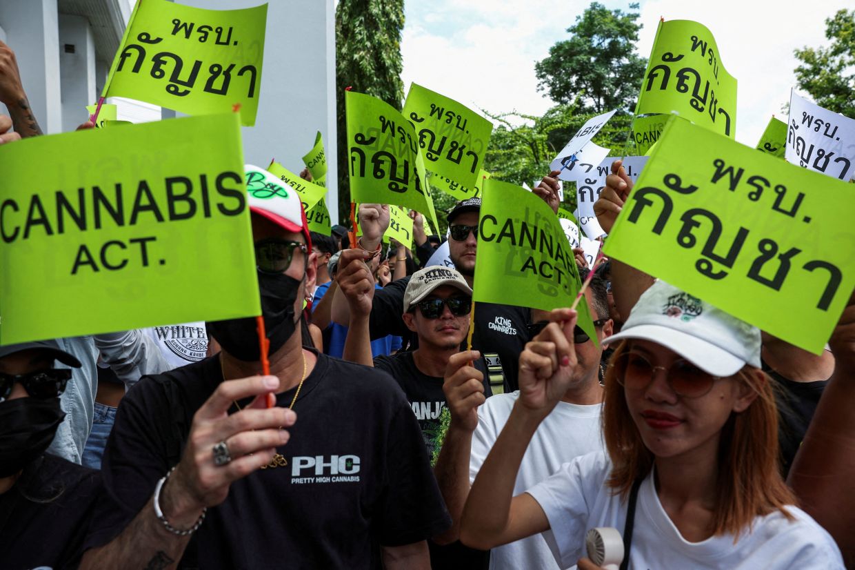 Activists of Writing Thailand’s Cannabis Future attend a protest at the Ministry of Public Health to call for a responsible and well-regulated approach to cannabis and the urgent passage of an act, as Thailand moves to recriminalise marijuana as a narcotic, in Nonthaburi province, Thailand, on Monday, July 7, 2025. -- Photo: REUTERS/Chalinee Thirasupa