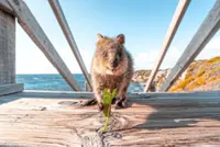 A journey of culture, flavour and nature in Western Australia