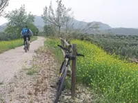 Spain's Olive Oil Route is a slick way to visit the region