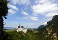 Hot dog survives locker ordeal at Germany's Neuschwanstein Castle