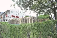 KL folk fear green spaces going down the drain (Poll inside)