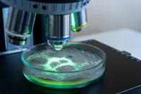 Nominations now open for National Young Scientist Award 2025