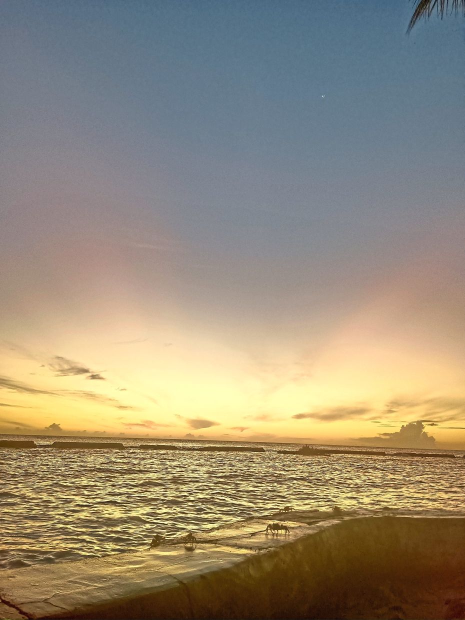 Crabs seen at the break of dawn on an atoll in the Maldives.Left: Over water chalets offer charming stays in the idyllic archipelago. Below: Dolphins swimming ahead at the bow of a boat.