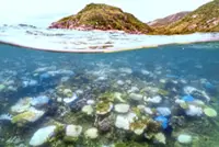 Ecowatch: Why oceans matter to our health