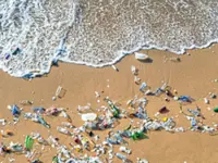 Plastic that dissolves in seawater developed by Japanese scientists