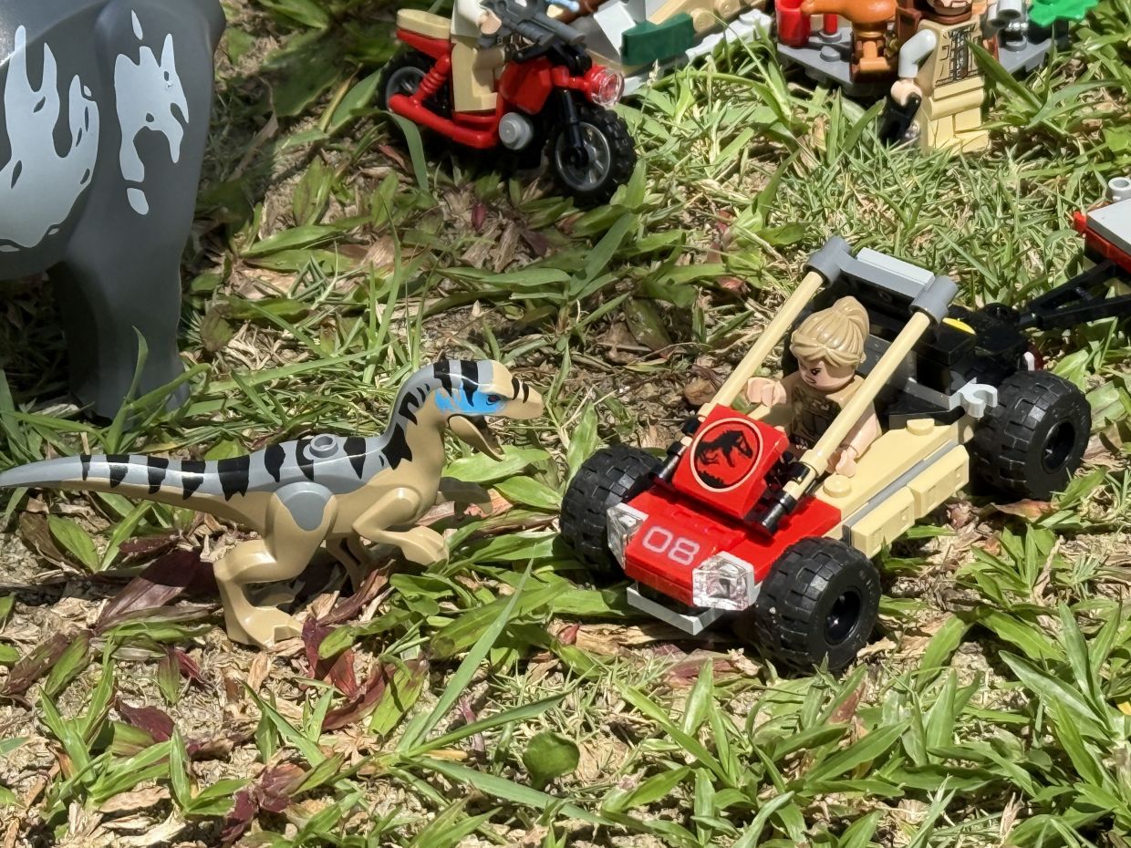 Quick! Get away from that raptor, Zora!