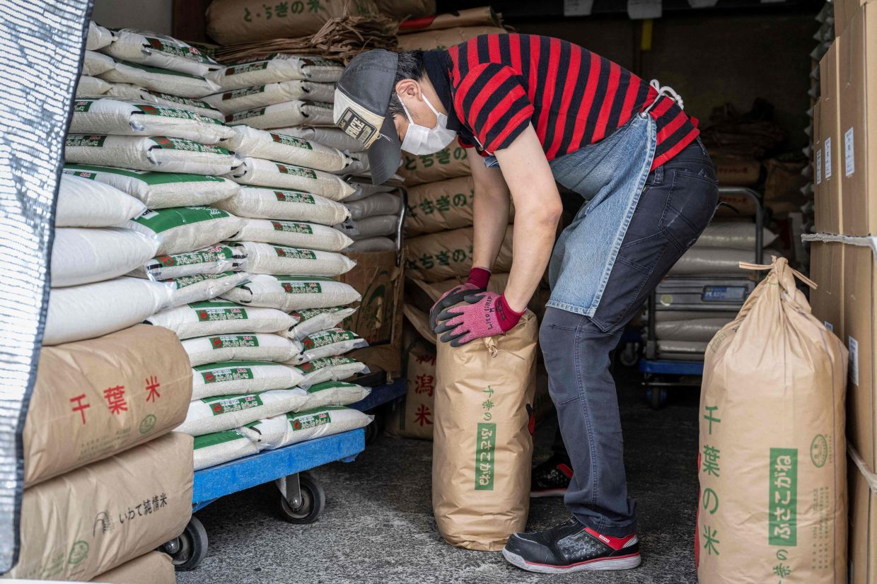 Japanese Immigration Officers Rice Japan's sticky problem with Trump, tariffs and rice | The Star