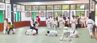 More than just martial art