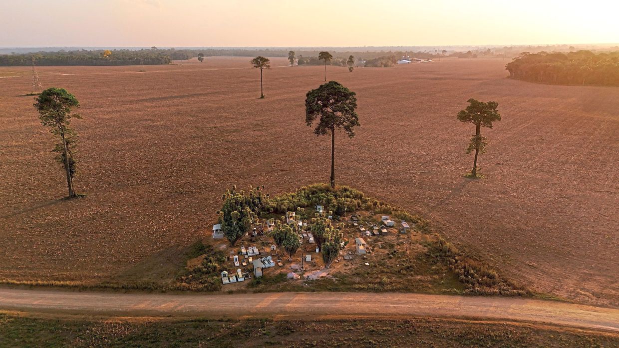 A rural cemetery surrounded by a soy field where soybean farming expanded in the Amazon. — Reuters