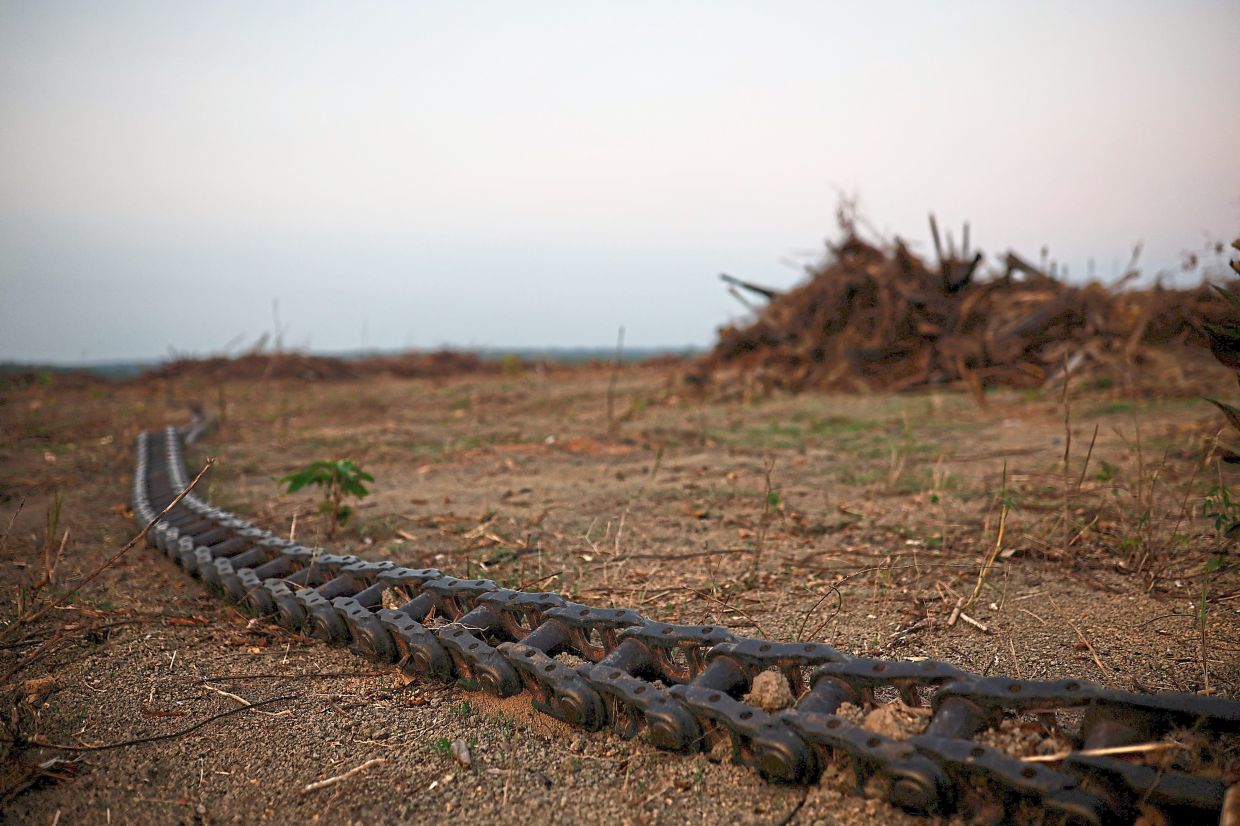 A chain, normally used connected to tractors to fell down trees at the last stages of clearing land, lying in a field. — Reuters