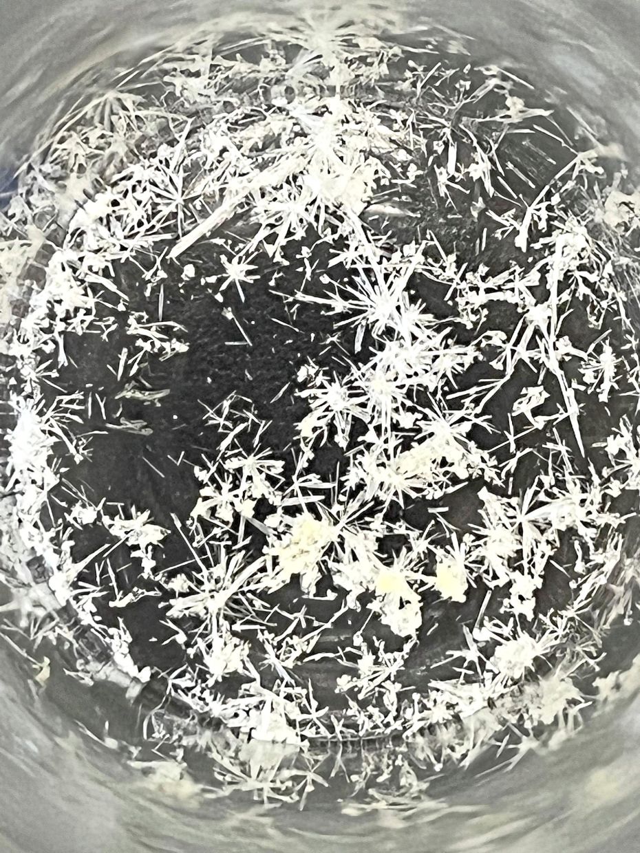 Purified PMFs that have been isolated from black ginger are seen here in a petri dish as crystalline structures. — Dr MAISARAH ABDUL MUTALIB