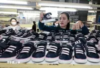 Vietnam-US economic ties thrive as relations enter new chapter