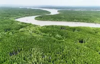 Vietnam unlocks carbon credit market with legal reforms