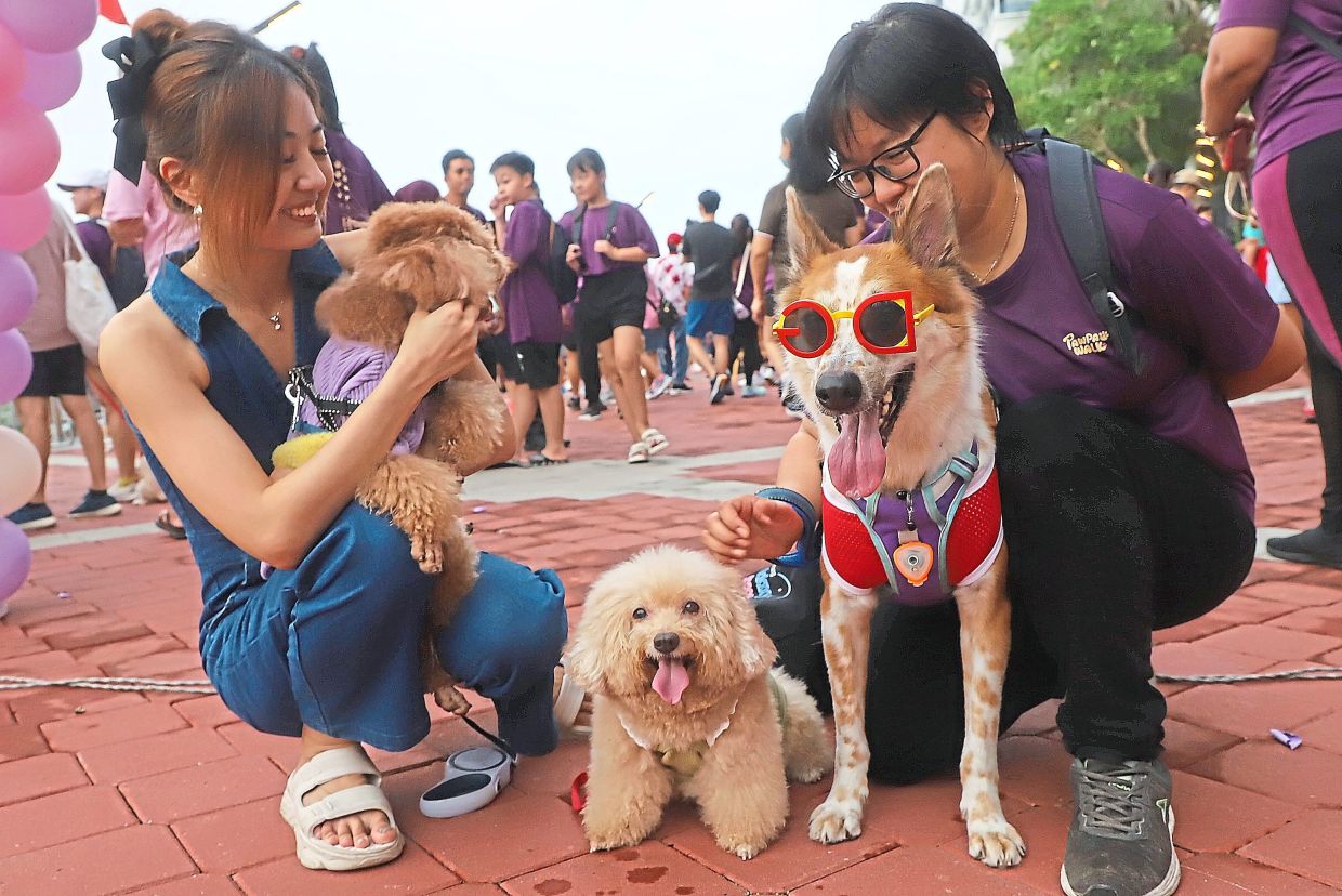 Pet owners with canine companions at an event in Bayan Lepas, Penang. — Courtesy photos and filepics