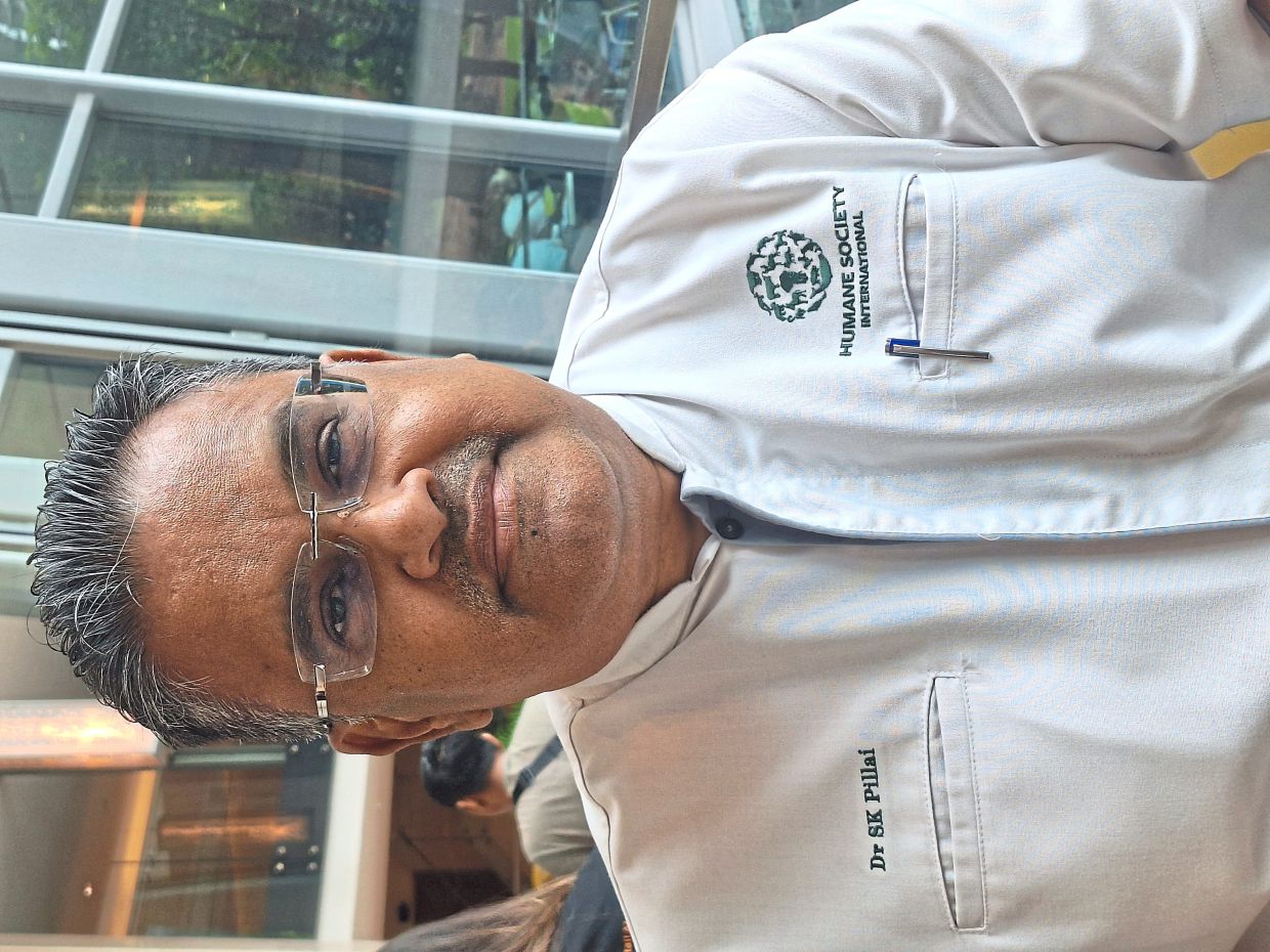 Dr Saravanakumar says chaining and keeping pets in small spaces is an offence.