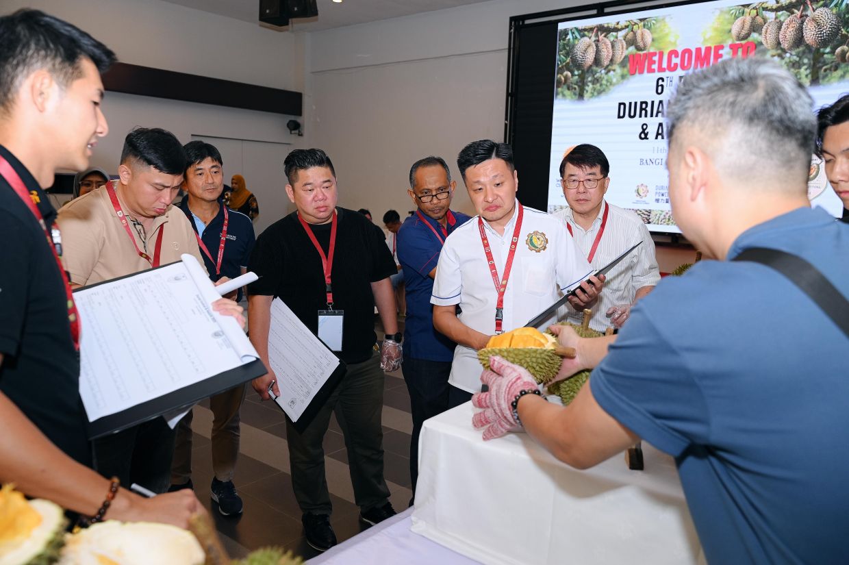 Orchard owners submitted their finest durians, carefully cultivated for the competition.