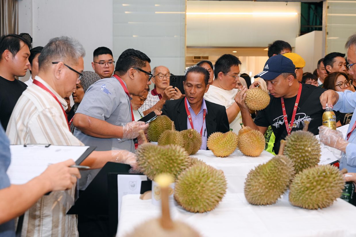 Judges evaluated the durians based on flavour complexity, including sweetness, bitterness, floral and alcoholic notes, to determine the best.