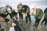 Recognising vital role of seagrass beds
