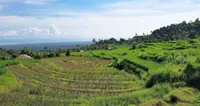 Hurdles in Bali agriculture push 